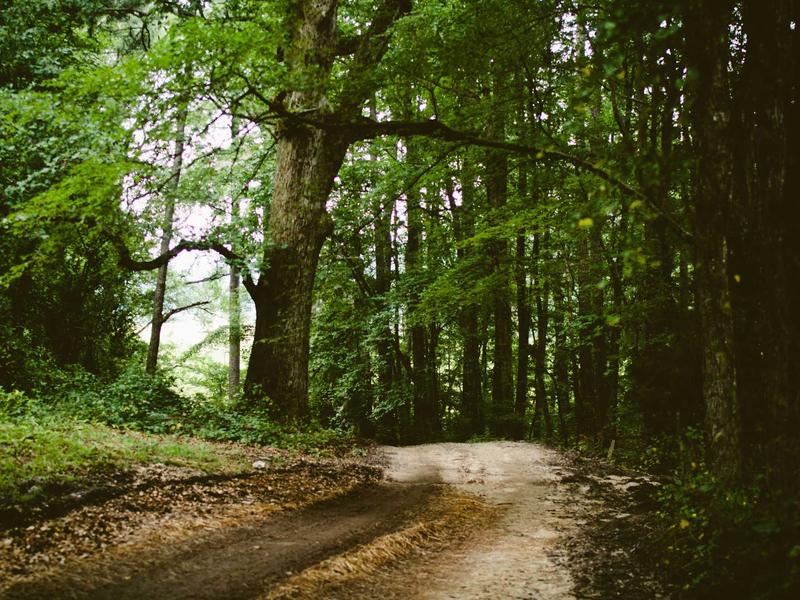 sudoku zen mode screenshot 2